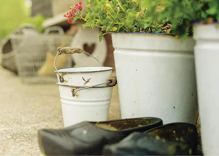 Wijde Waddenzee * Ден-Оевер