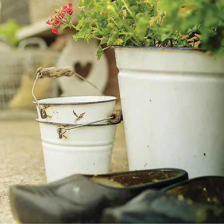 Wijde Waddenzee * Den Oever